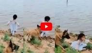 Watch how dog saves girl from falling into deep water; Twitterati call him ‘hero’