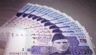 'Pakistan in the midst of economic crisis'