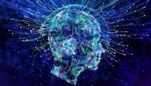 Researchers find 'spooky' similarity in how brains and computers see