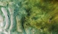 NASA shares amazing pic that looks like artwork, here's what it actually is  