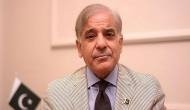 Pakistan: PM Shehbaz cautions public of Imran's corruption, economic disaster while casting vote