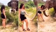 Banana Tease Backfires: Lessons in Elephant Etiquette