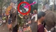 Video with a message for us all: Elephant finds divine delight in Jackfruit amidst religious procession!