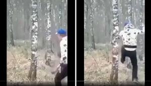 Tree Strikes Back: Man Gets Instant Payback!